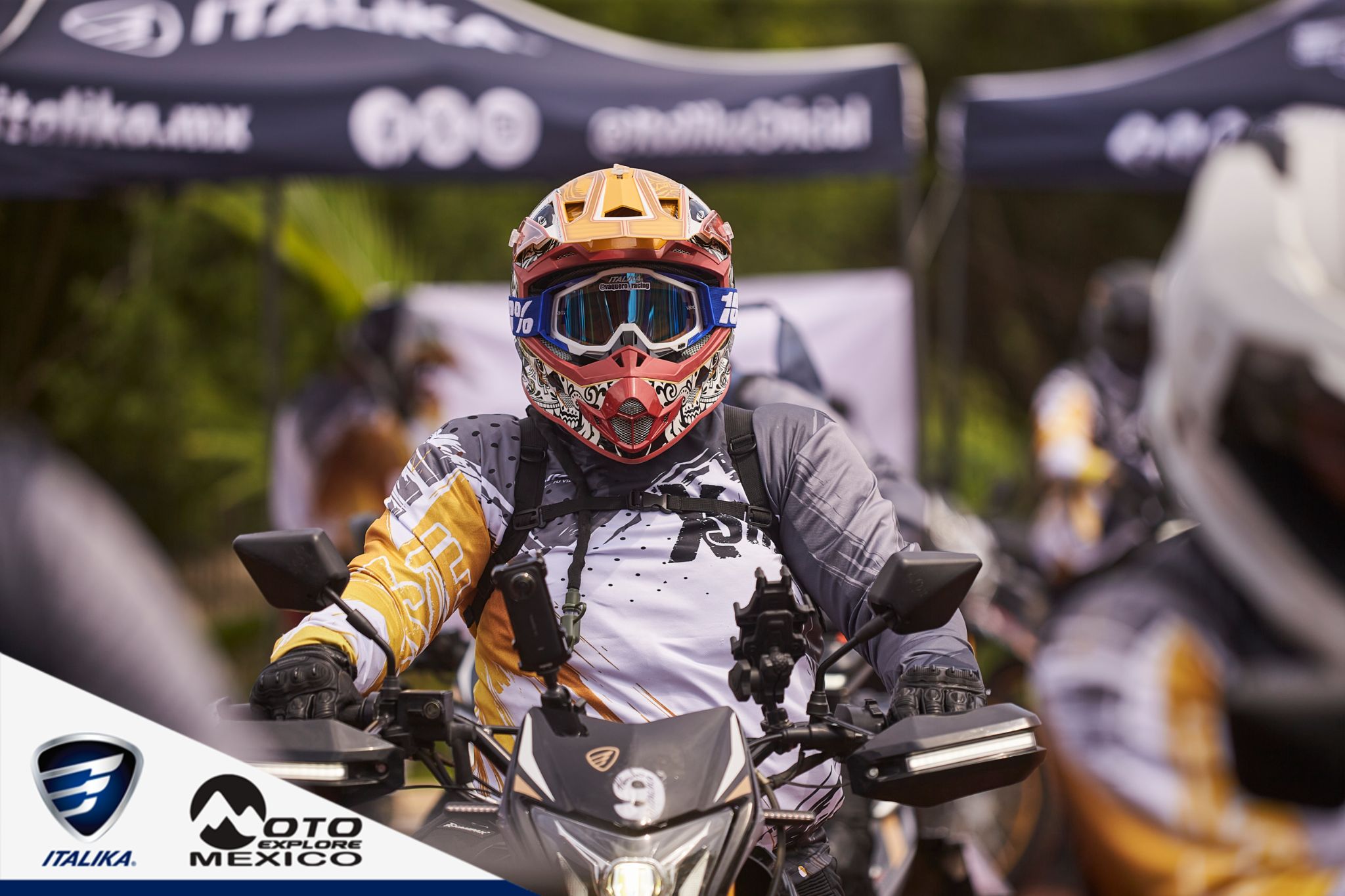 ITALIKA CHACHALACAS D1 208